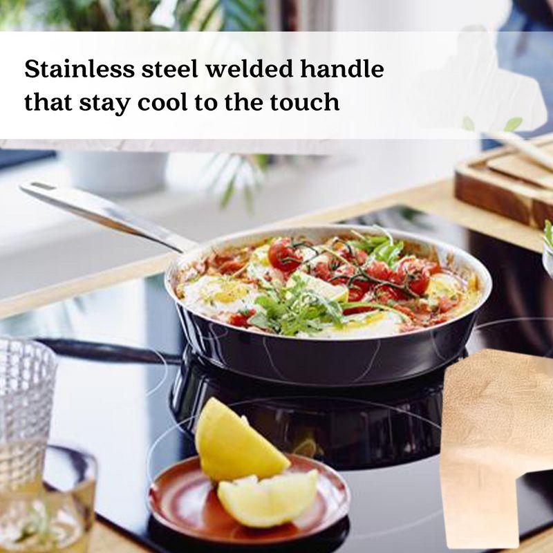 Alva Alva Maestro Premium 5-Ply Stainless Steel Frying Pan - Polished Stainless Steel