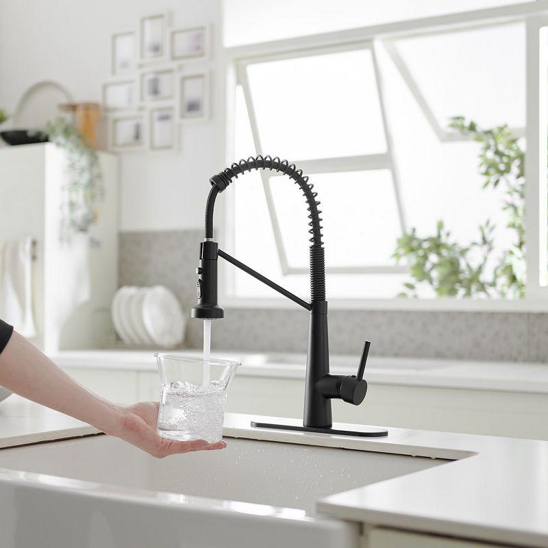 Single-Handle Pull-Down Sprayer 2 Spray High Arc Kitchen Faucet With Deck Plate