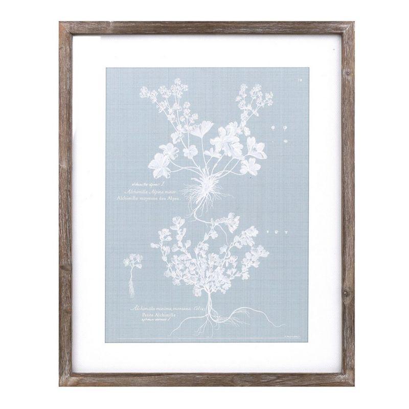 Melrose Framed Encyclopedia Floral Outline (Set of 4)