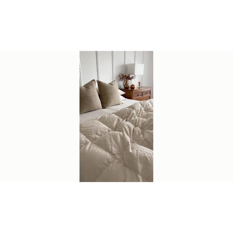 EcoDream Full/Queen Off-White Organic Cotton Down Comforter