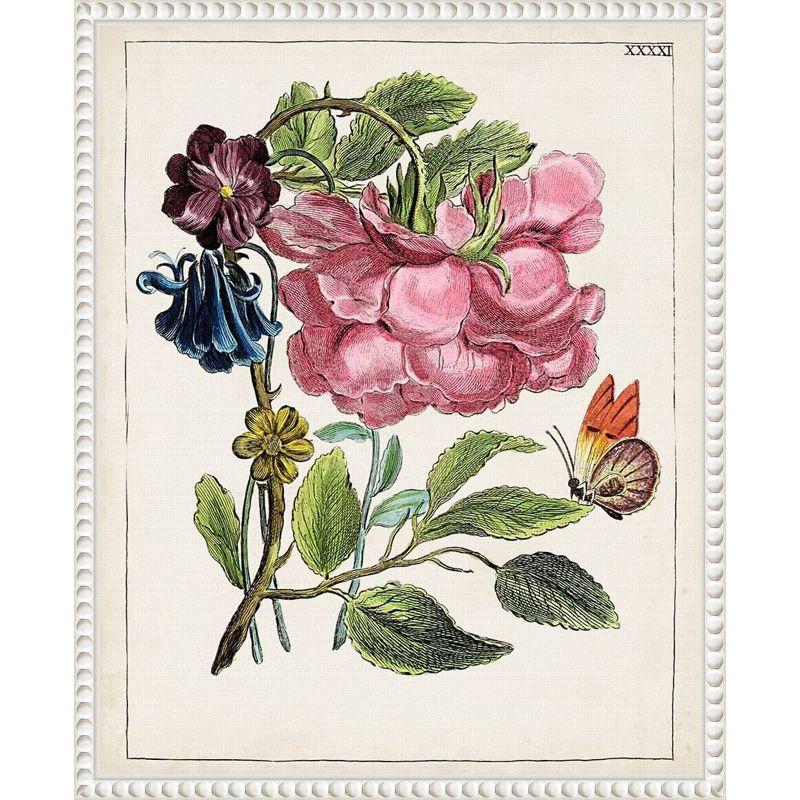 Amanti Art Dutch Florals XII Framed Canvas Wall Art Print