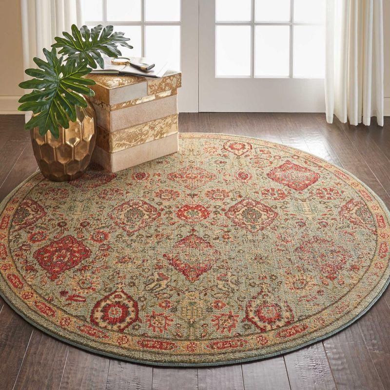 Nourison Somerset Vintage Bohemian Indoor Rug