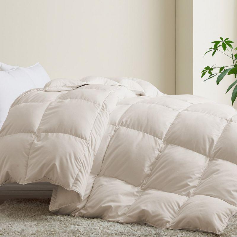 Alwyn Home 600in³/oz Fill Power Winter Goose Down Comforter