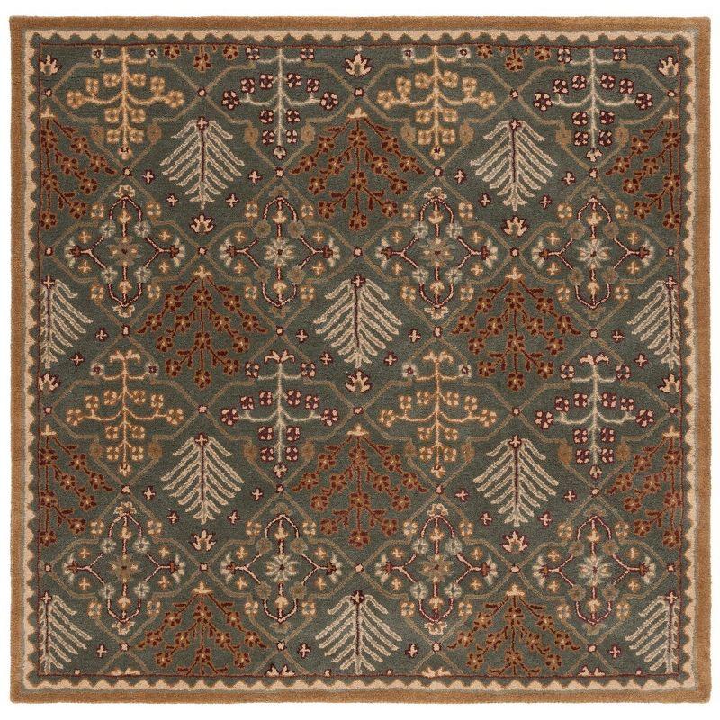 Antiquity AT613 Hand Tufted Area Rug  - Safavieh