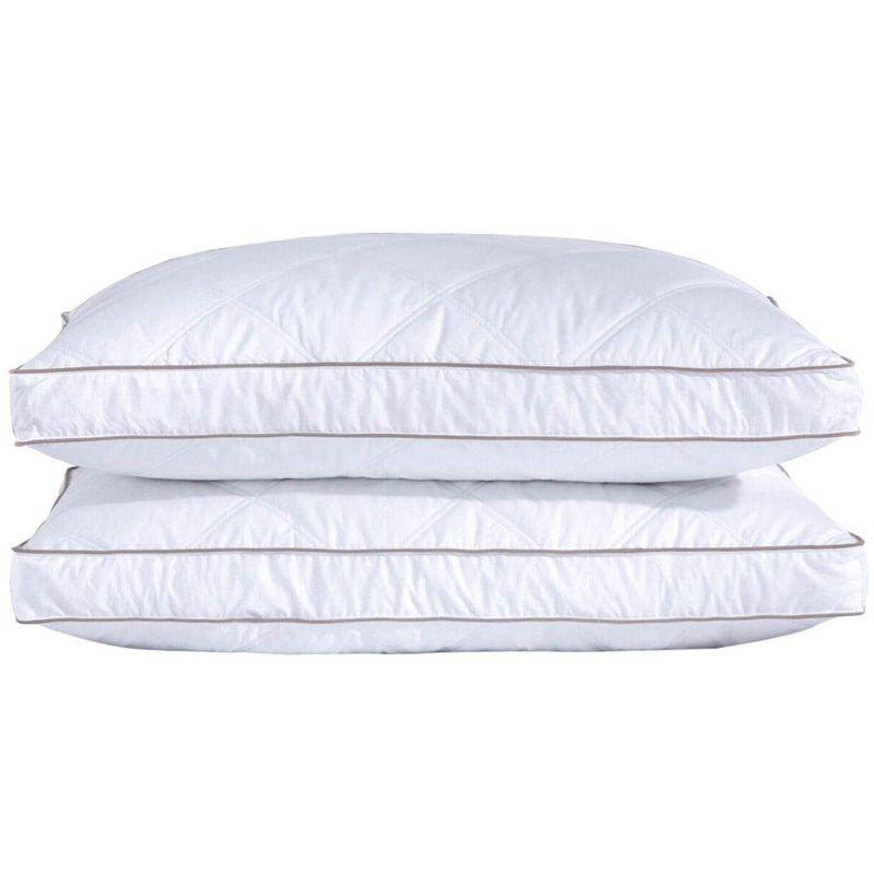 Peace Nest Down Blend Firm Pillow (Set of 2)