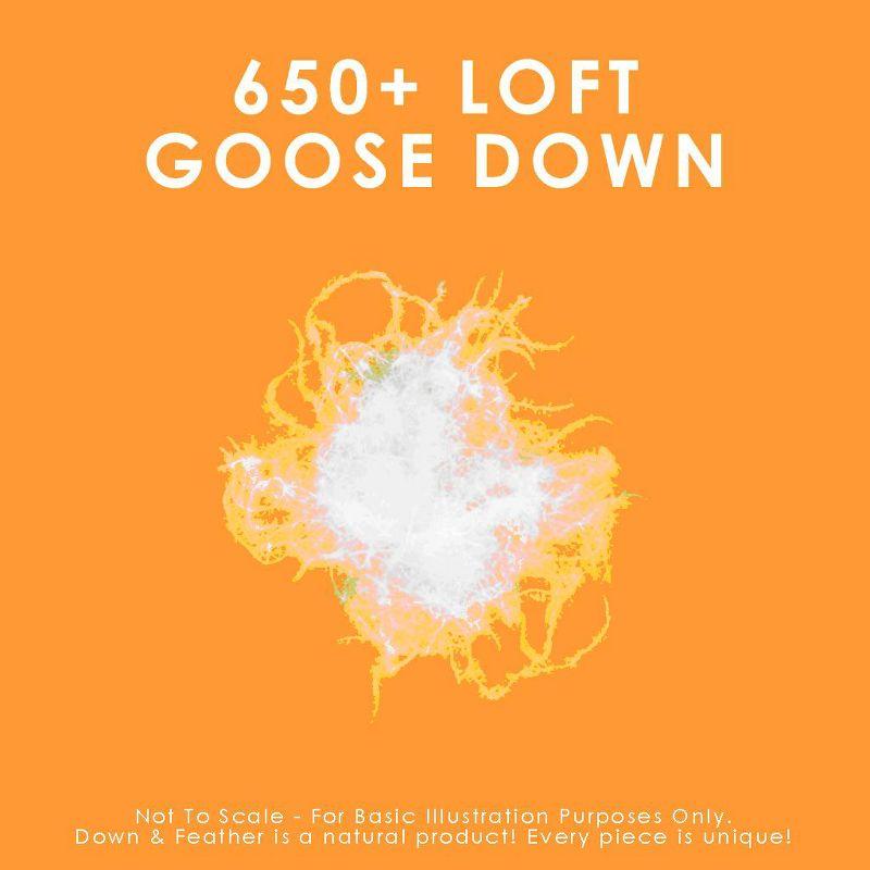 Canadian Down & Feather Company - 650 Loft White Goose Down Comforter Duvet Insert,  Winter Weight - Twin Size