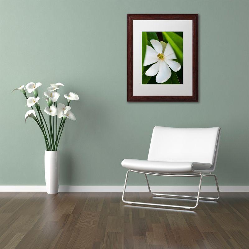 Trademark Fine Art -Kurt Shaffer 'White Magnolia Flower' Matted Framed Art