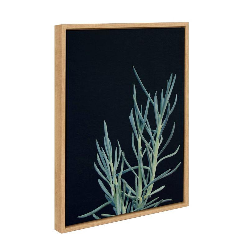 18" x 24" Sylvie Succulent 16 Framed Canvas by F2 Images Natural - Kate and Laurel