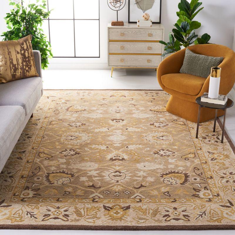 Anatolia AN512 Hand Tufted Indoor Area Rug - Sage/Beige - 9'x12' - Safavieh