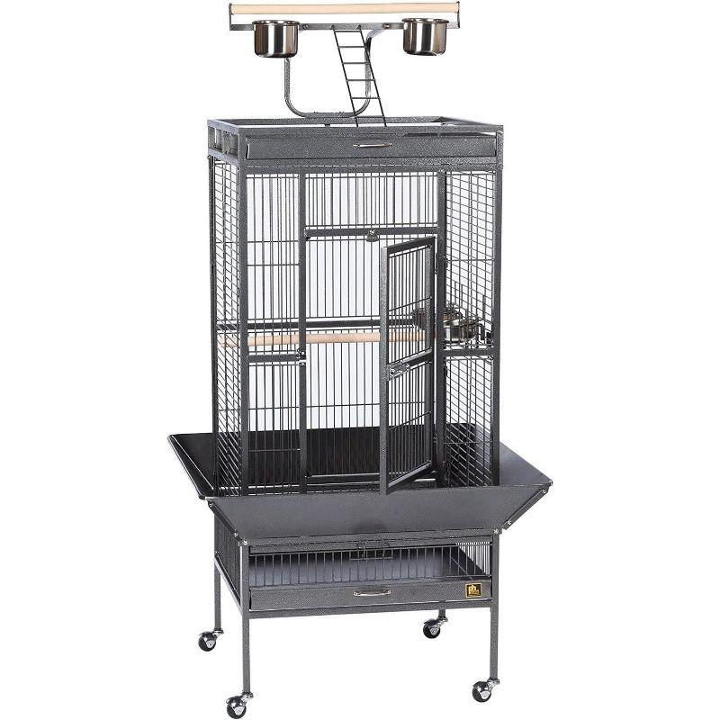 Prevue Pet Products 3152BLK Wrought Iron Select Bird Cage, Black Hammerstone