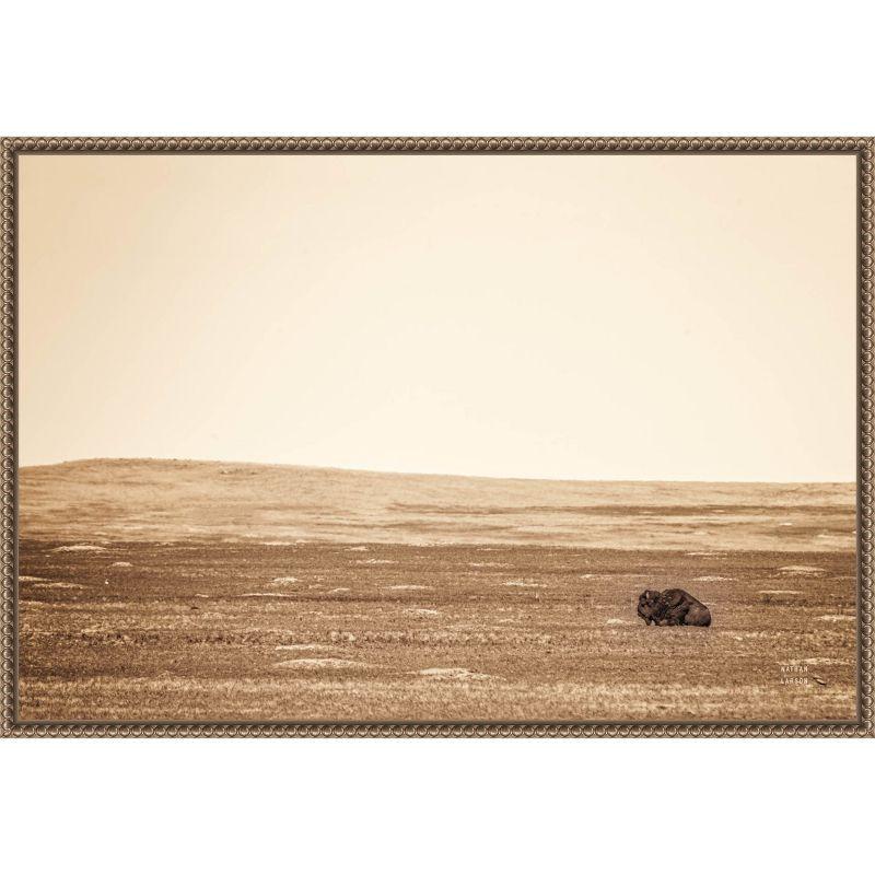 Sepia Bison Landscape Framed Canvas Wall Art 23 x 16