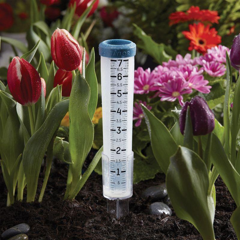 Taylor® Precision Products 7-In. Capacity Silicone Rain Gauge in Clear