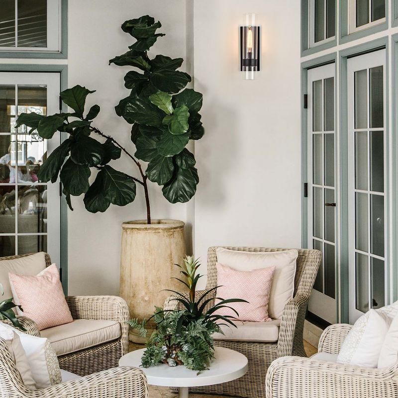 C Cattleya 1 Light Black Wall Sconce, Cylinder Glass Shade