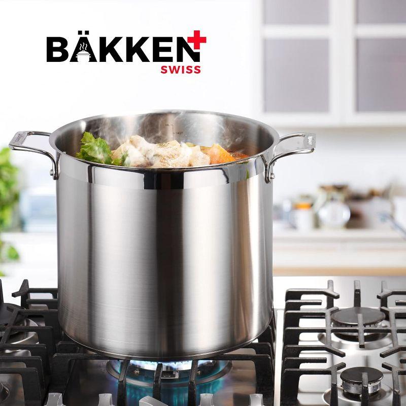 Bakken- Swiss Stockpot Brushed Stainless Steel Induction Pot with Lid and Riveted Handles