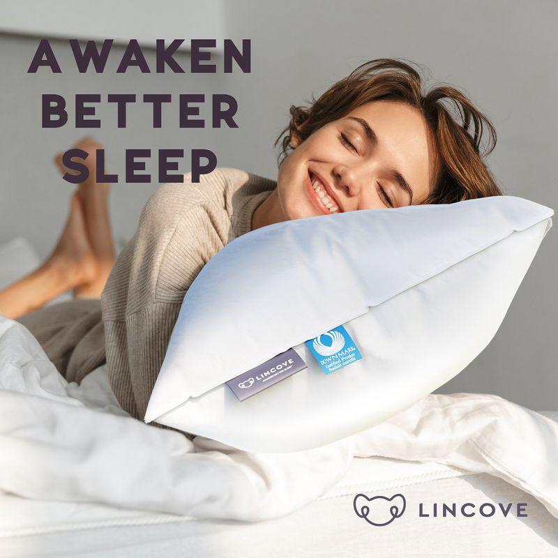 Lincove Cloud Canadian Down Luxury Sleeping  Pillow - 625 Fill Power, 500 Thread Count Cotton Sateen Shell, King - Medium, 1 Pack