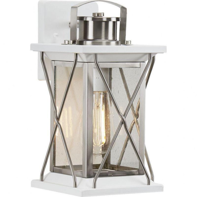 Progress Lighting Barlowe 1-Light Small Wall Lantern, Stainless Steel, Clear Seeded Glass