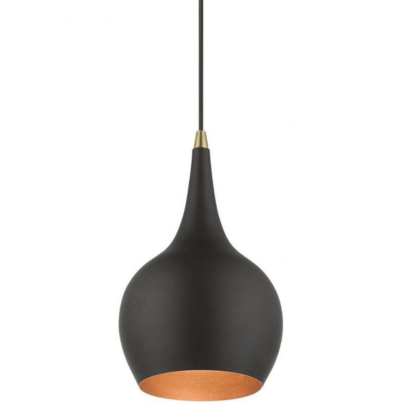 Livex Lighting Andes 1 - Light Pendant in  Black/Antique Brass