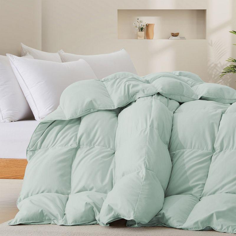 600 Fill Power All Season Down Comforter Duvet Insert