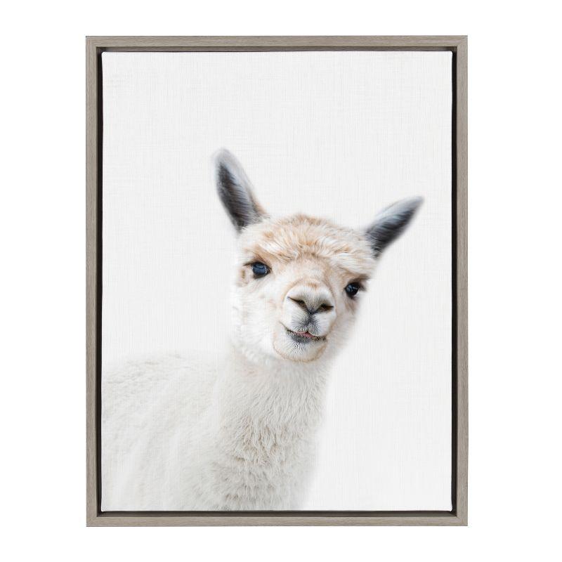 Gray Framed Canvas Print of Alpaca for Nursery