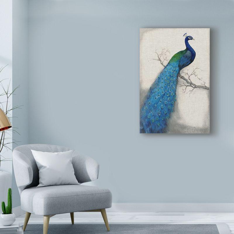 Trademark Fine Art -Tim Otoole 'Peacock Blue I' Canvas Art - 19''x12''