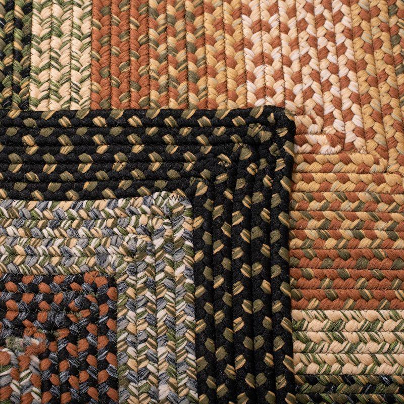 Braided BRD308 Hand Woven Area Rug - Multi - 3'x5' - Safavieh.