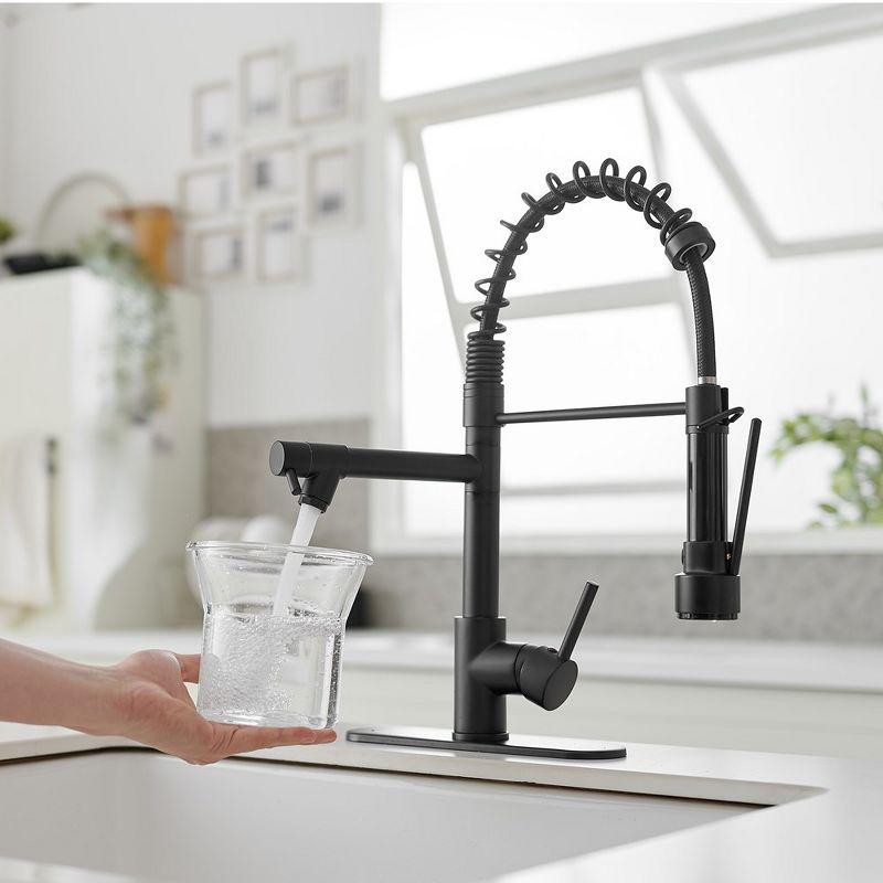 Pull Down Single Handle Kitchen Faucet with Accessories