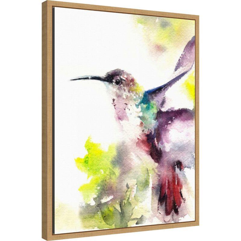 Amanti Art Hummingbird by Canotstop Canvas Wall Art Print Framed 18 x 24-in.