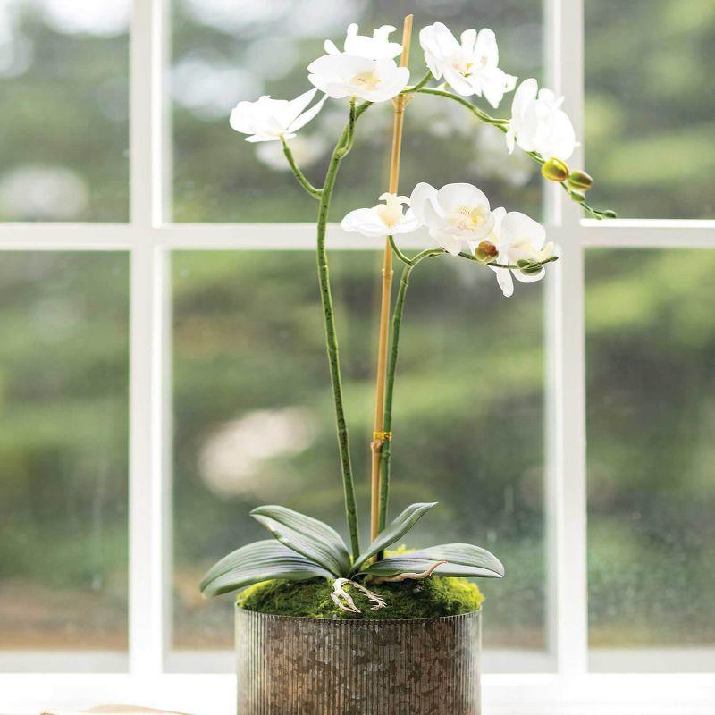 Sullivans Artificial 24.5" Potted Orchid