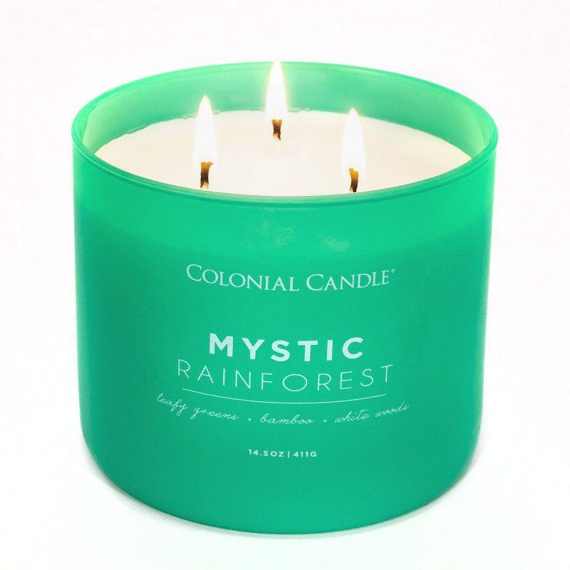 Pop of Color 3-Wick Mystic Rainforests Scented Jar Candle 14.5oz - Colonial Candle