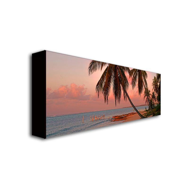 Trademark Fine Art - Preston 'Cayman Palms II' Canvas Art - 12x32