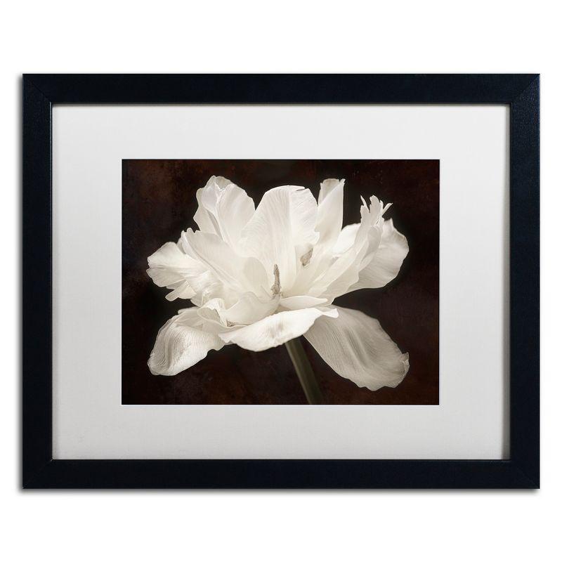 Trademark Fine Art - Cora Niele 'White Tulip I' Matted Framed Art