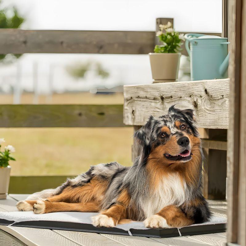 Farm Innovators HM-100L 24 x 29 In Plastic Heated Pet Mat with Fleece Cover and Heavy Duty Anti Chew Cord Protector for Dogs, Cats, and More, 100W