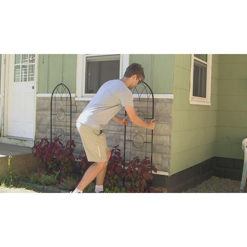 Winston Porter Avonlee Black Steel Arched Garden Trellis for Climbing Plants (Set of 2)