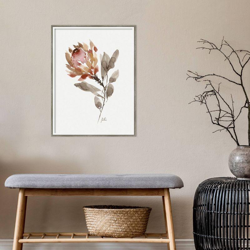 19" x 25" Wild King Protea by Sara Berrenson Wood Framed Wall Art Print - Amanti Art: Modern Botanical Lithograph, Hardwood Frame