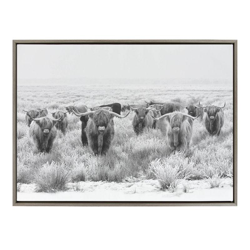 Sylvie Herd of Highland Cows BW Framed Canvas by Creative Bunch - Kate & Laurel All Things Decor