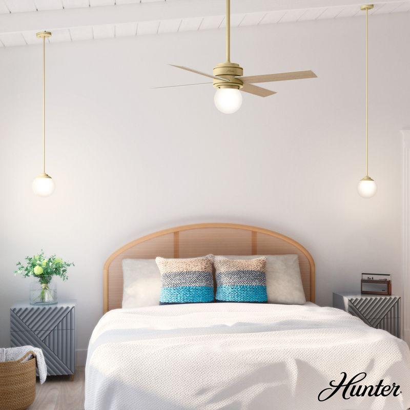 Hunter Fan Hepburn 1 - Light Globe Pendant