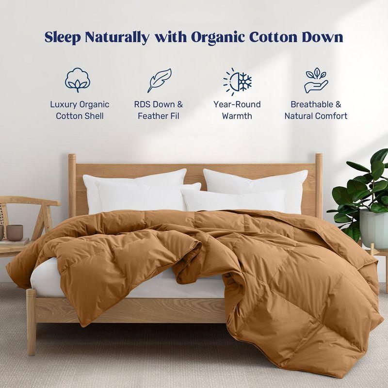 Puredown All Season 100% Organic Cotton Down Duvet Insert Medium Warmth Comforter