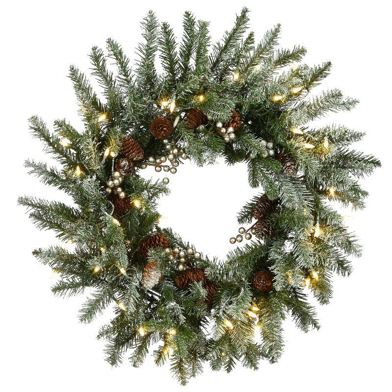 Snowy Morgan Spruce 21" Artificial Christmas Wreath with Smart LED Lights