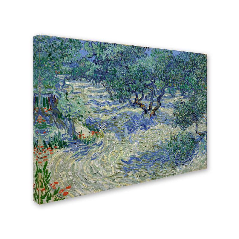 Van Gogh Olive Orchard 35x47 Gallery-Wrapped Canvas Art