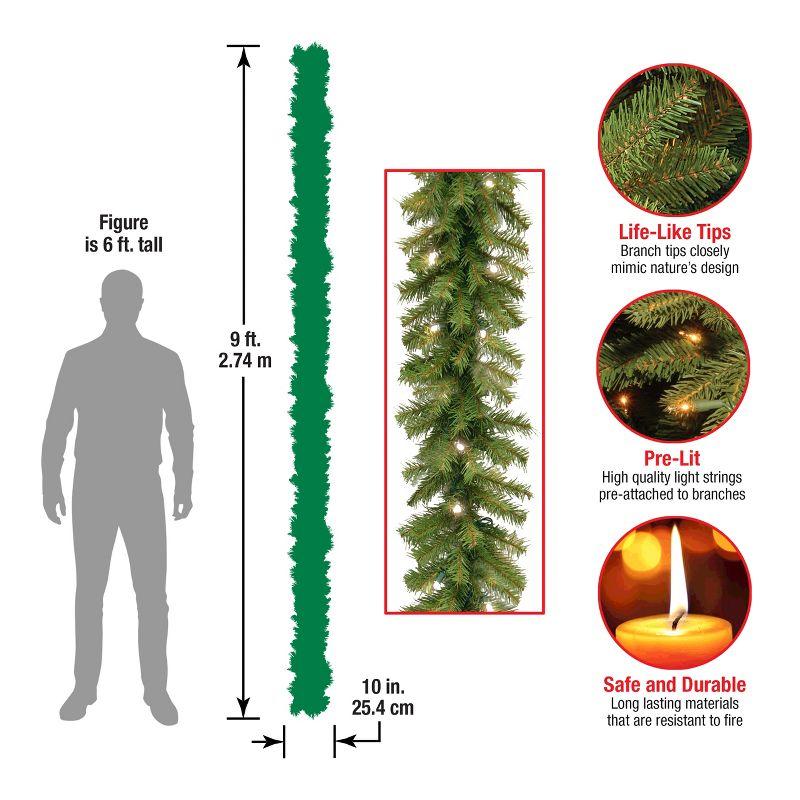 National Tree Company 9ft. Norwood Fir Garland with LED Lights