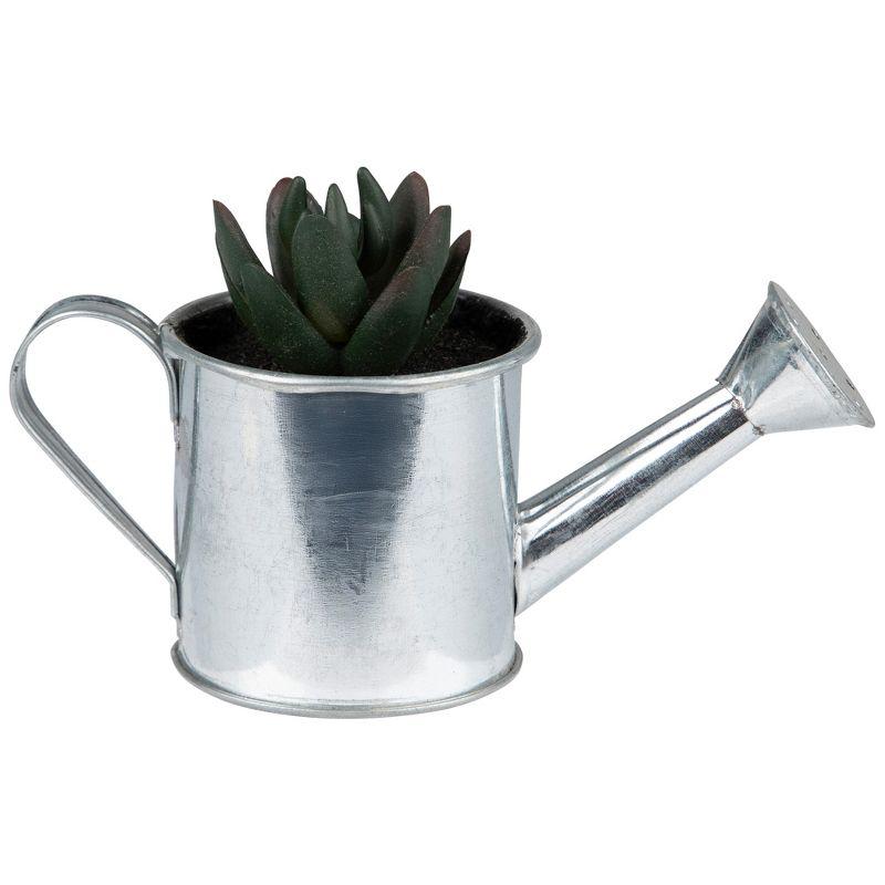 Northlight 4" X Pachyveria Succulent in Water Can Artificial Potted Plant - Green/Silver