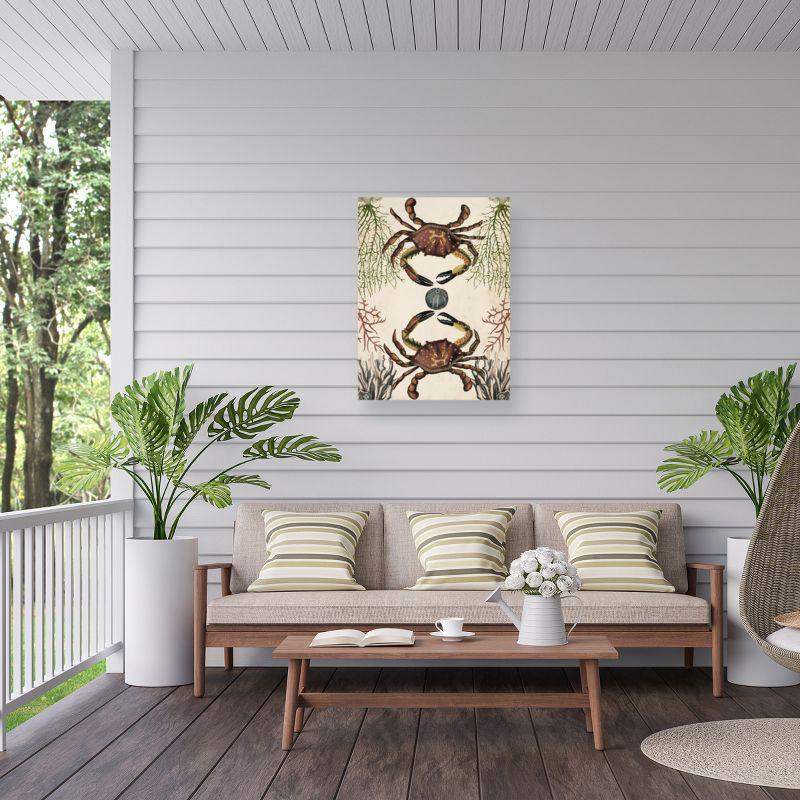 Trademark Fine Art - Naomi Mccavitt 'Antiquarian Menagerie Crab' Outdoor Canvas - 24x32