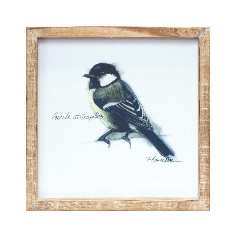 Melrose Wood Framed Bird Art Print (Set of 4)