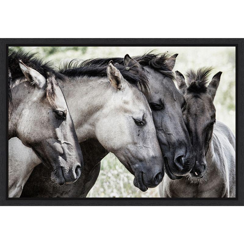 Framed Horizontal Canvas Print of Four Konik Horses