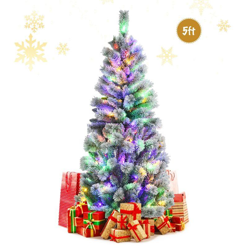 5' Lighted Pine Christmas Tree