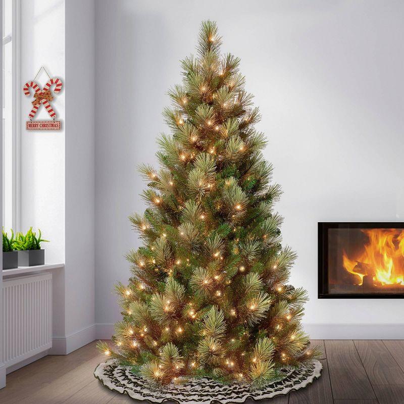 National Tree Company First Traditions 6' Pre-Lit Charleston Pine Hinged Artificial Christmas Tree Clear Lights: Slim Profile, Indoor Use