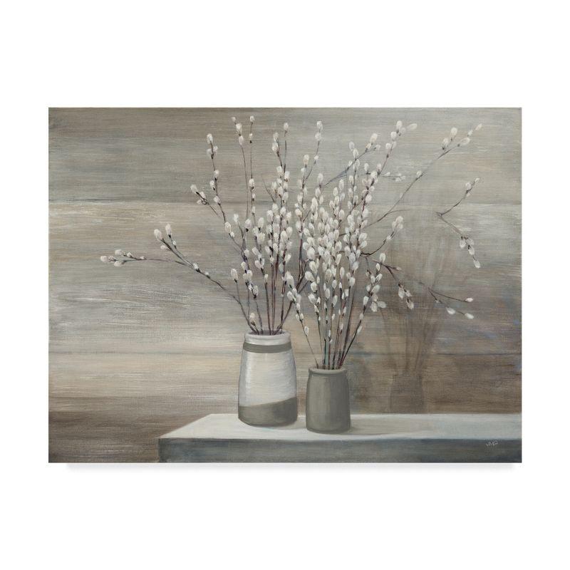 Trademark Fine Art -Julia Purinton 'Pussy Willow Still Life Gray Pots' Canvas Art - 35''x47''