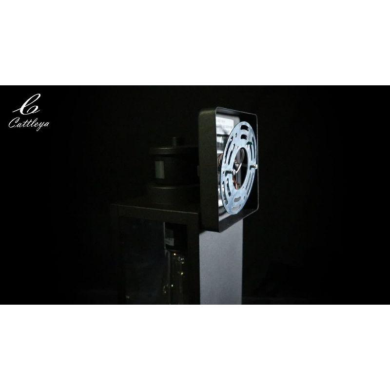 C Cattleya 2-Pack Matte Black Motion Sensor and Dusk to Dawn Outdoor Wall Lantern