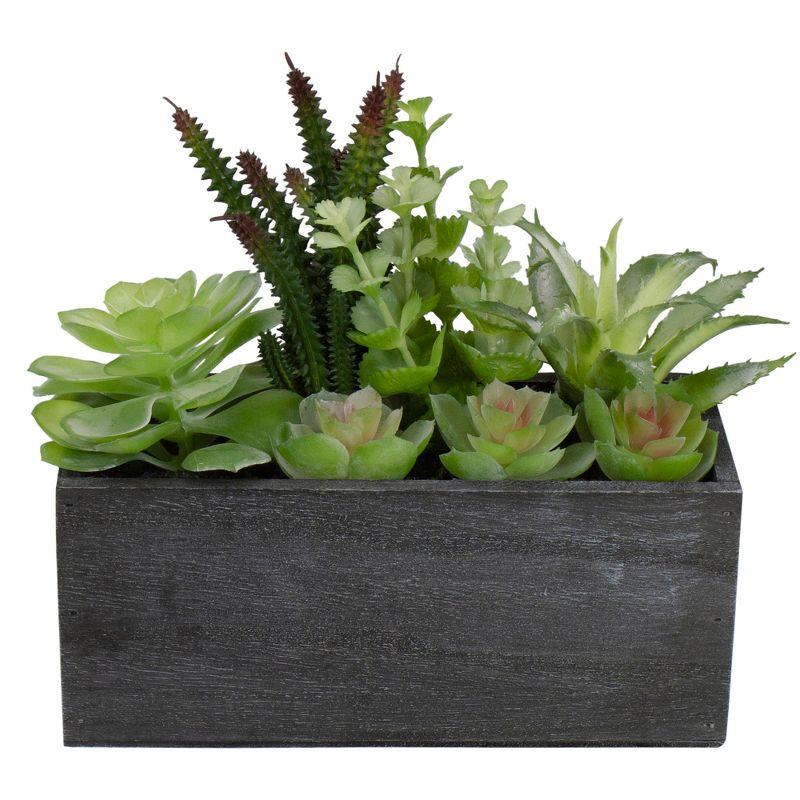 Northlight 10" Artificial Mixed Succulent Plants in a Rectangular Planter