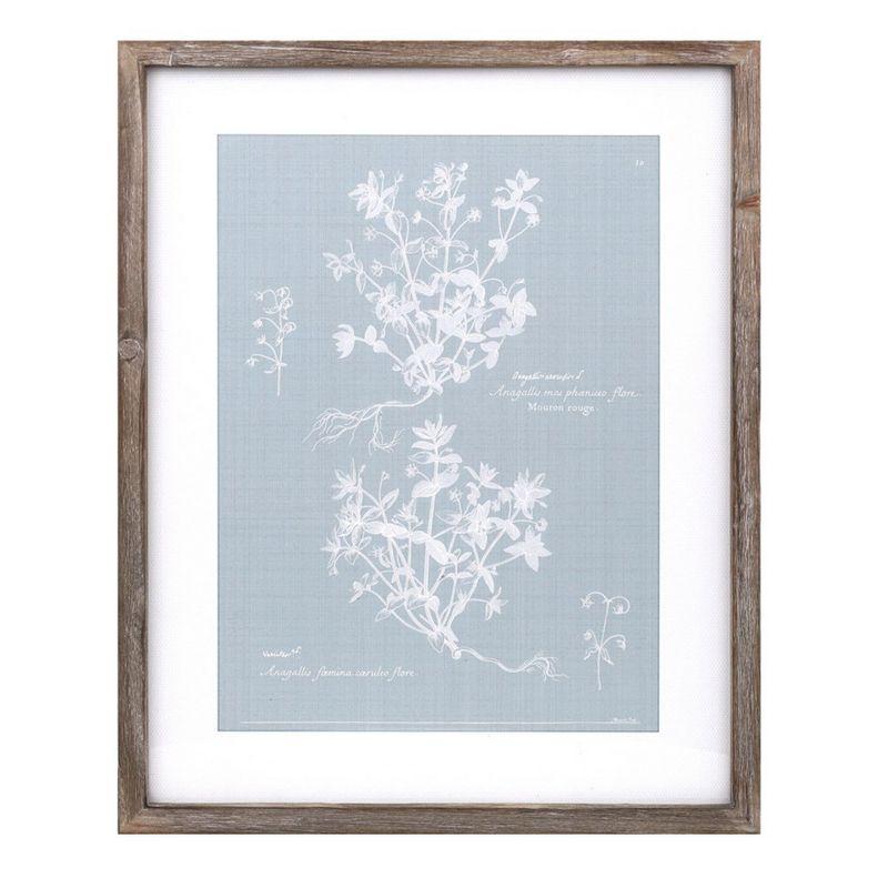 Melrose Framed Encyclopedia Floral Outline (Set of 4)